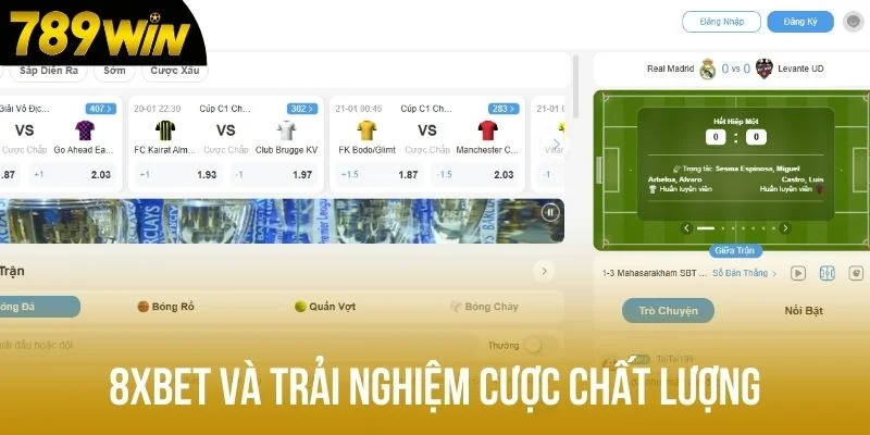 8Xbet và trải nghiệm cược chất lượng