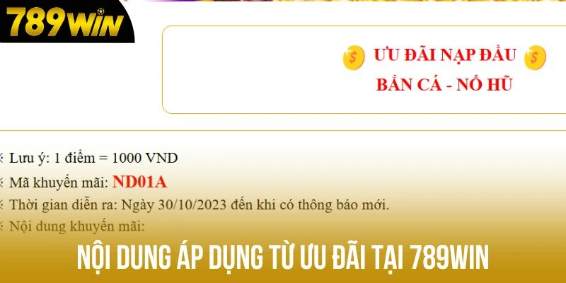 Nội dung áp dụng từ ưu đãi tại 789win