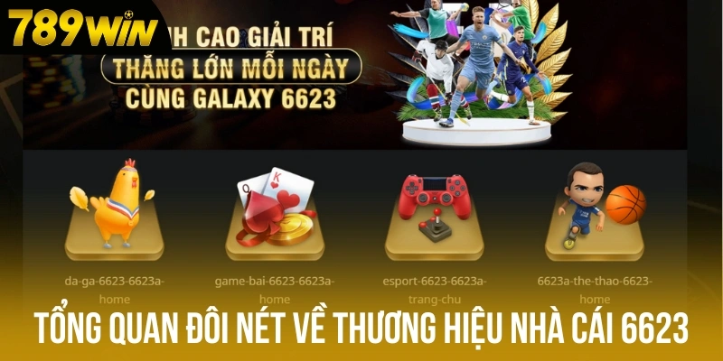 Tổng quan đôi nét về thương hiệu nhà cái 6623